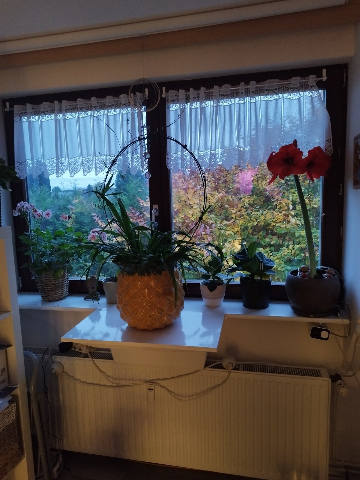 Regal mit mehreren Töpfen