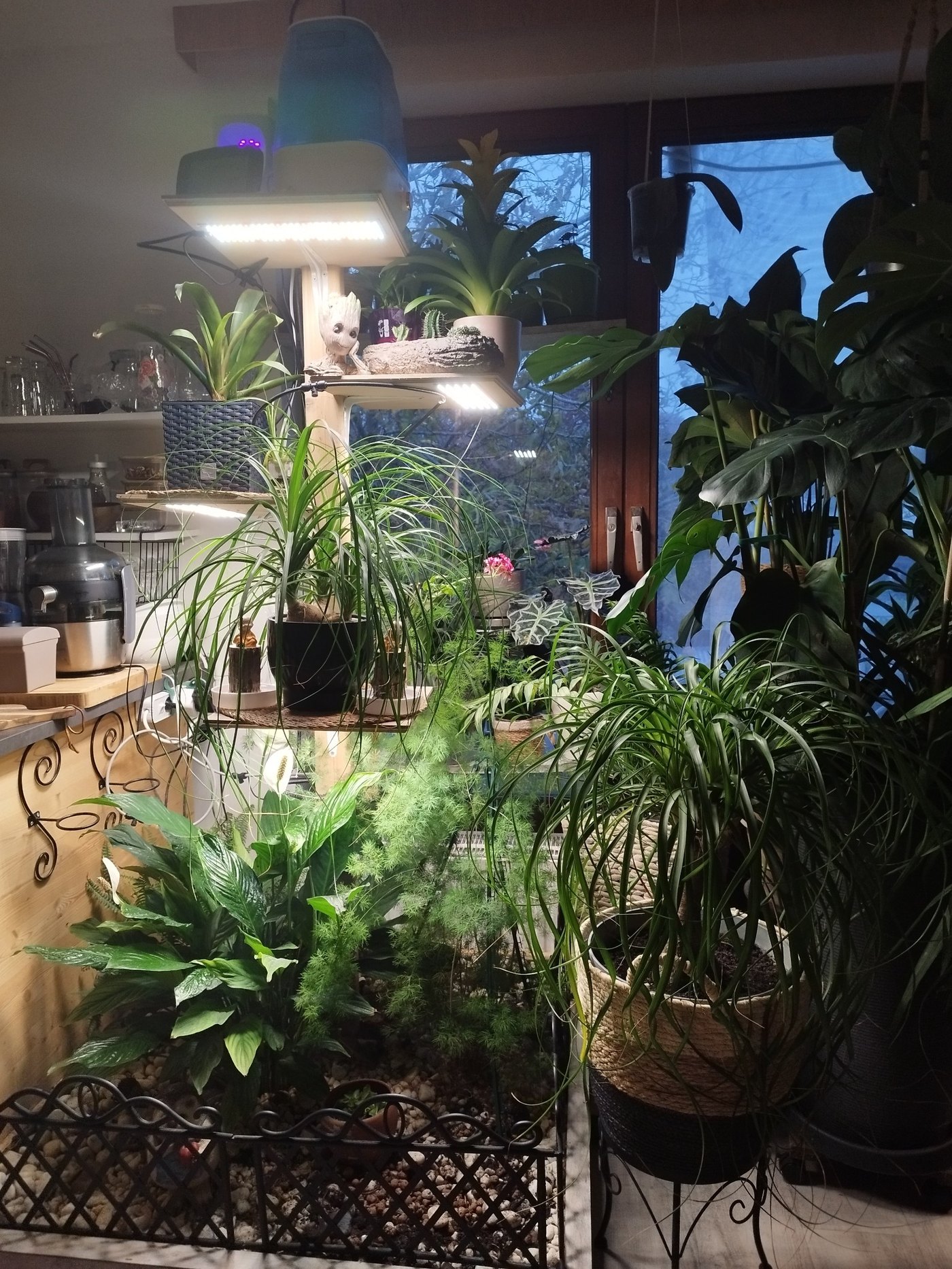 Unsere Pflanzen – 2