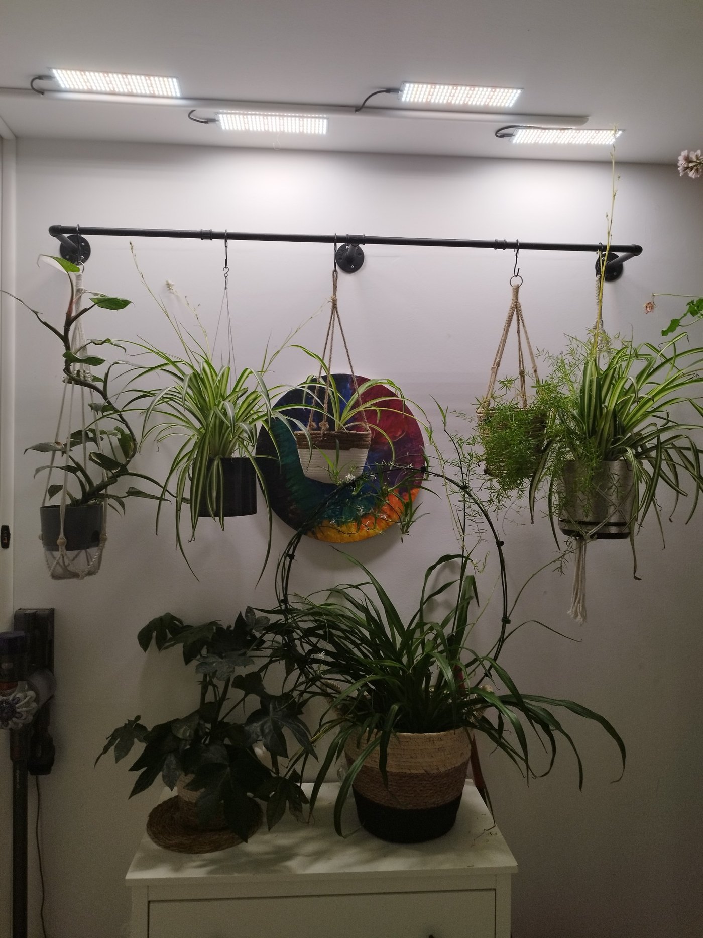 Unsere Pflanzen – 8